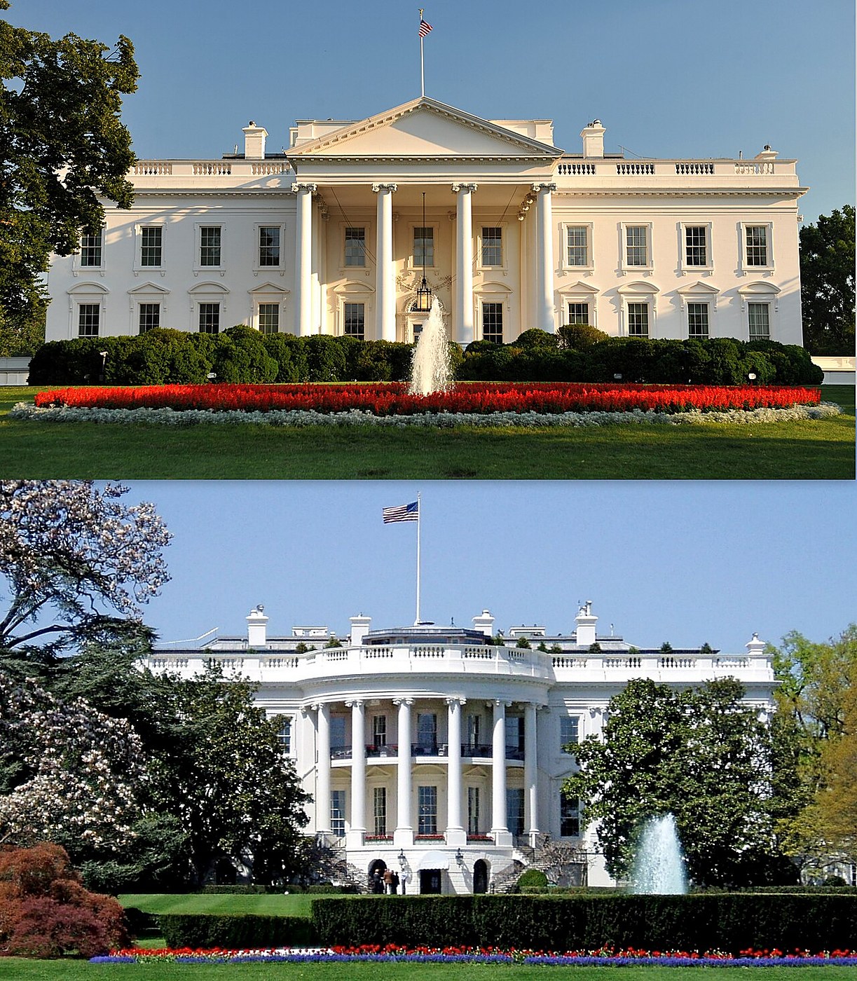 UFC White House Terror Plot