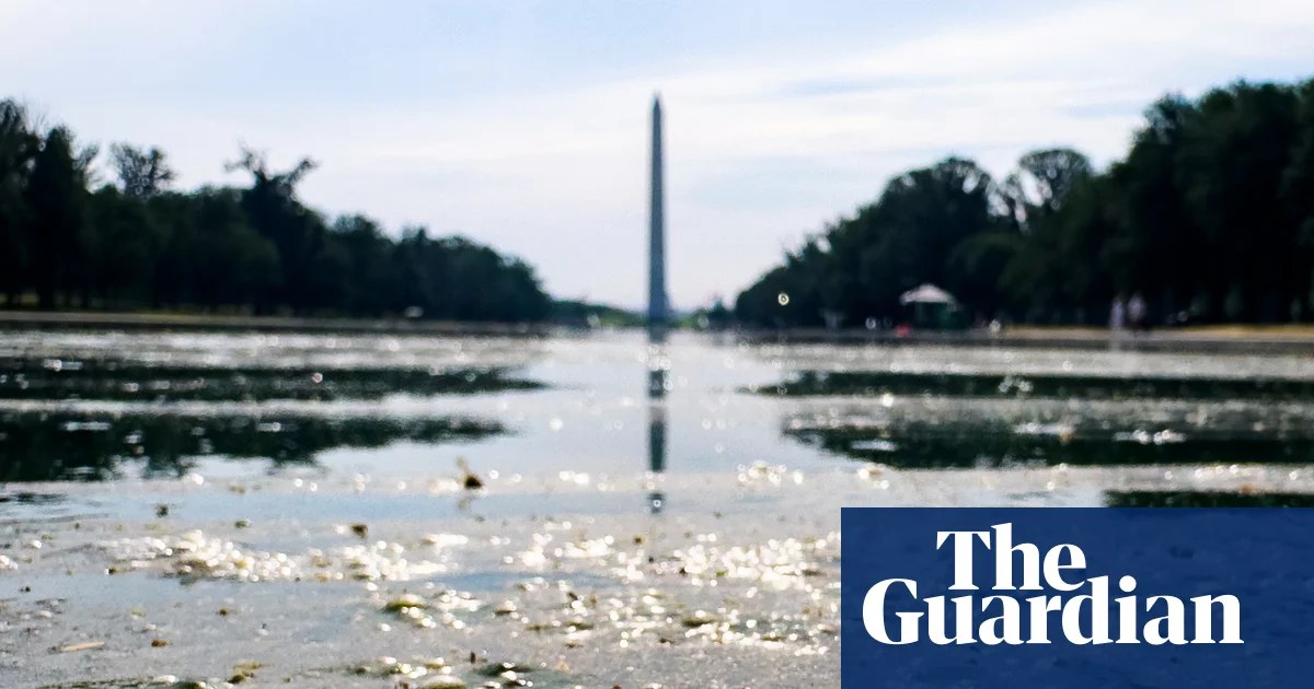 The Reflecting Pool, Trump's $14 million algae problem